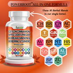 Load image into Gallery viewer, Ceylon Cinnamon, Apple Cider Vinegar, Korean Ginseng, Berberine & Turmeric – Blood Sugar & Metabolism Support - CinnaBurn – 60 Capsules-Kun-Shan®