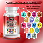 Load image into Gallery viewer, CardioExcel Capsules – CoQ10, Red Yeast Rice, Omega-3, K2 + D3, Magnesium – 60 Capsules-Kun-Shan®