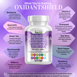 Load image into Gallery viewer, Resveratrol + Berberine + Quercetin + Green Tea + Nicotinamide – Antioxidant & Immune Support Supplement – Kun-Shafi® – 60 Capsules