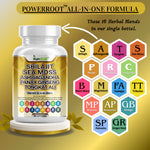 Load image into Gallery viewer, Sea moss and ashwagandha capsules for immunity and focus support - Kun Shafi wellness supplement