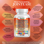 Load image into Gallery viewer, Joint care ingredients: glucosamine, chondroitin, MSM, boswellia, turmeric - Kun Shafi label