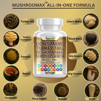 Lion's mane mushroom capsules for brain health and focus booster - Kun Shafi nootropic supplement 60 capsules