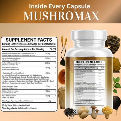 Cordyceps and turkey tail capsules for energy and adaptogen support - Kun Shafi 60 capsules