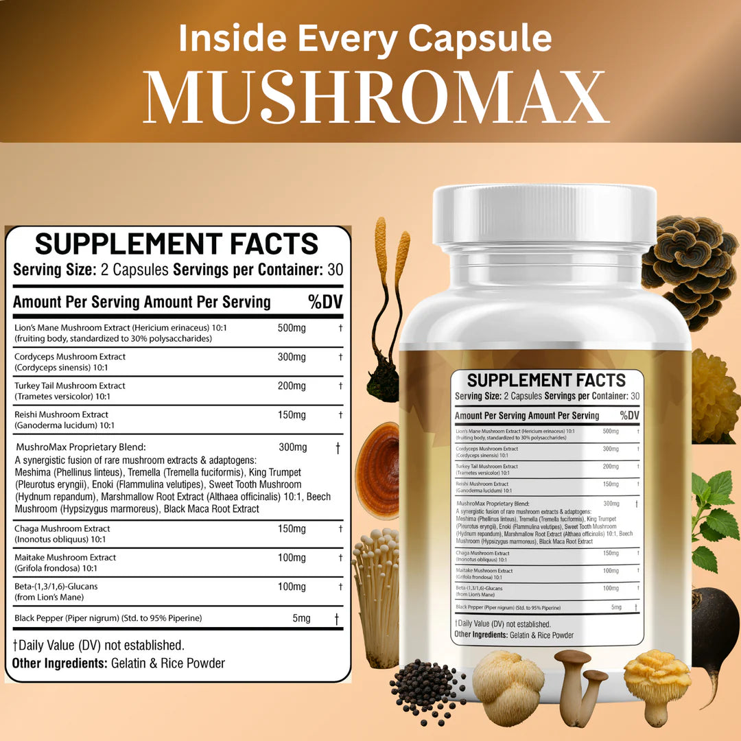 Cordyceps and turkey tail capsules for energy and adaptogen support - Kun Shafi 60 capsules