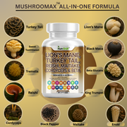 Lion’s Mane, Turkey Tail, Reishi, Cordyceps & Maitake Mushroom Complex - Brain, Immunity & Energy Support - 60 Capsules-Kun-Shafi