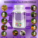 Load image into Gallery viewer, Resveratrol + Berberine + Quercetin + Green Tea + Nicotinamide – Antioxidant &amp; Immune Support Supplement – Kun-Shafi® – 60 Capsules
