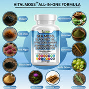 Sea moss capsules for immune and energy support - Kun Shafi complete wellness formula