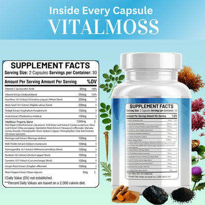 Burdock root and cordyceps capsules for daily wellness boost - Kun Shafi all-in-one formula