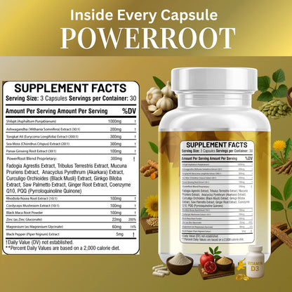 Panax ginseng and tongkat ali capsules for natural performance support - Kun Shafi 90 capsules